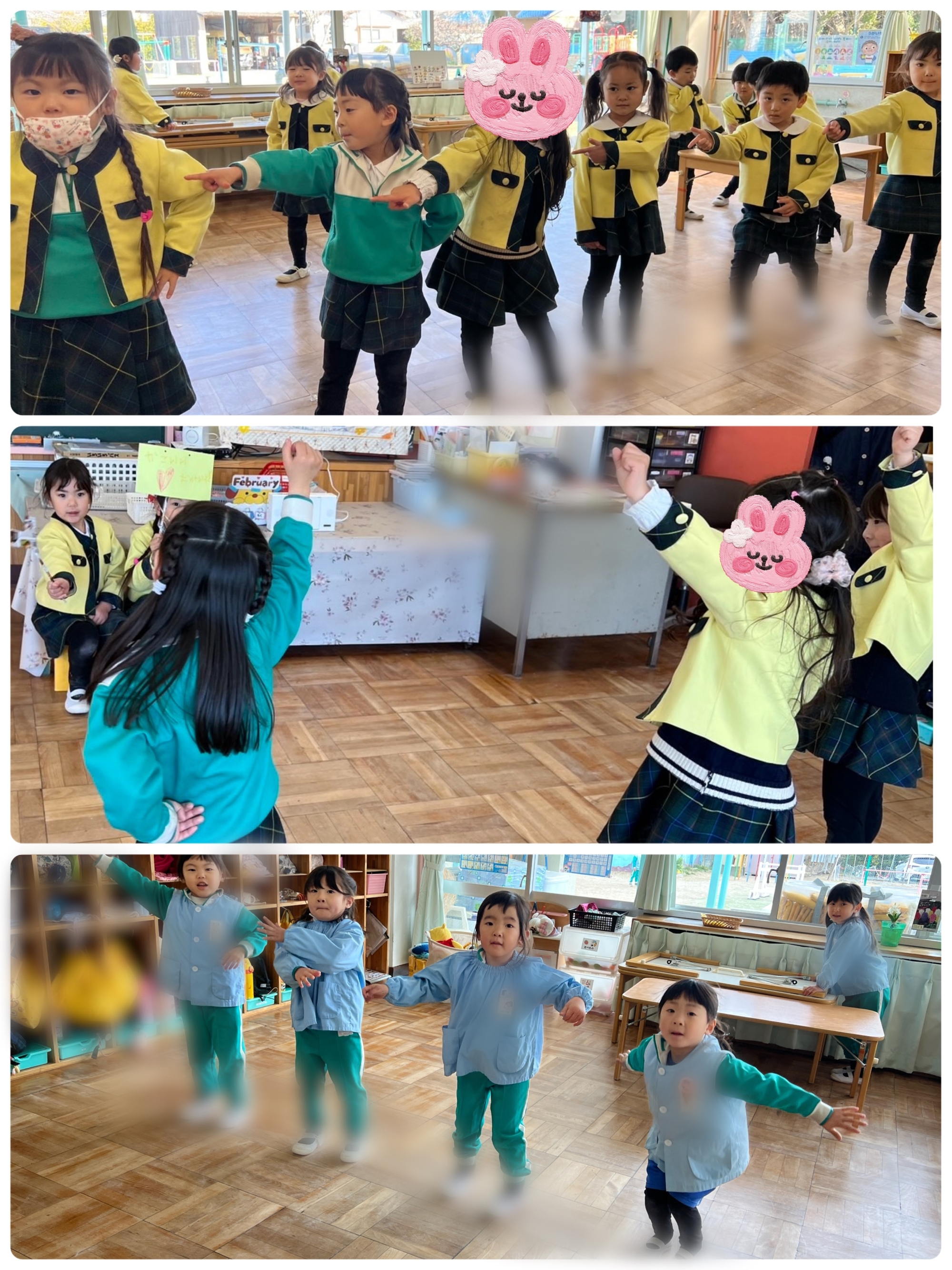 🟠最近のたんぽぽ